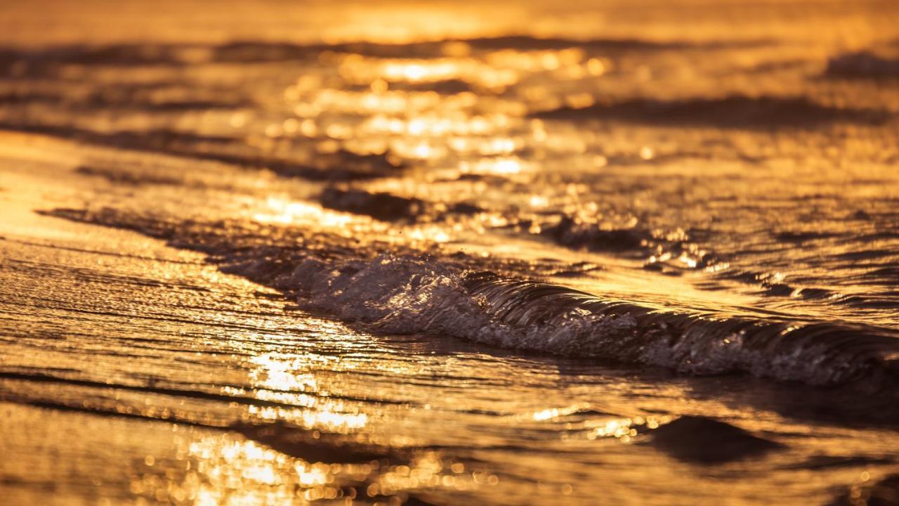דירות גדנסק Mieszkanie Sea Waves מראה חיצוני תמונה
